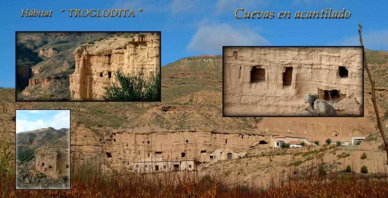 Purullena Habitat Troglodita Almagruz מראה חיצוני תמונה