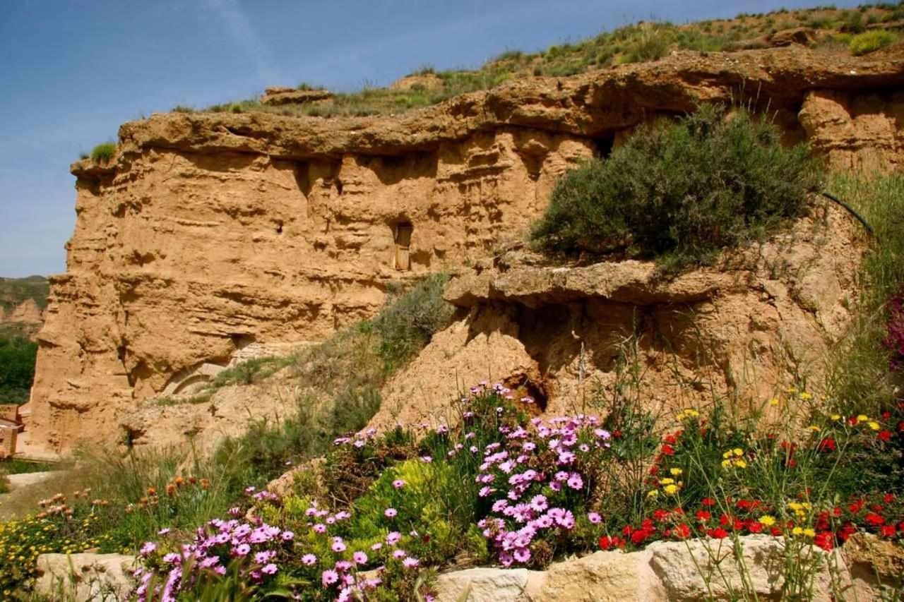 Purullena Habitat Troglodita Almagruz מראה חיצוני תמונה