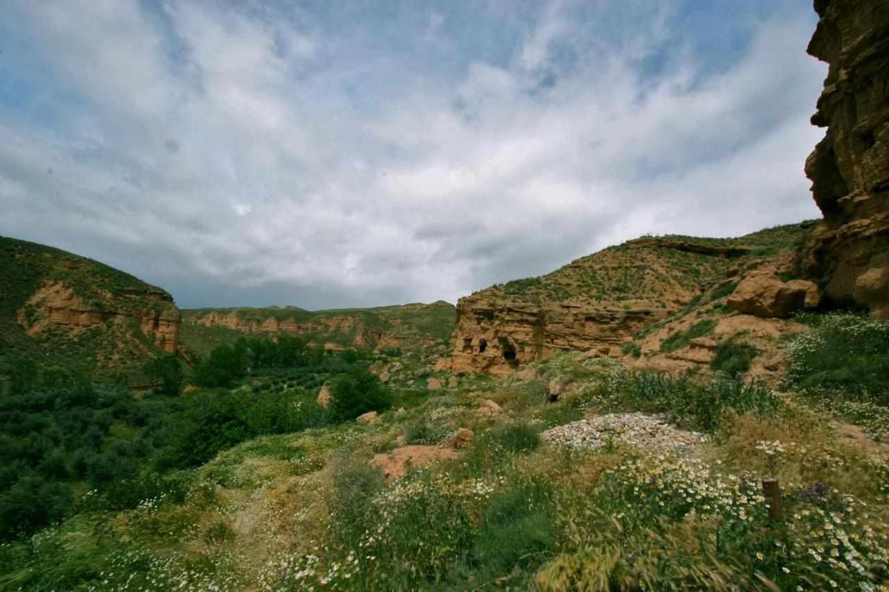 Purullena Habitat Troglodita Almagruz מראה חיצוני תמונה
