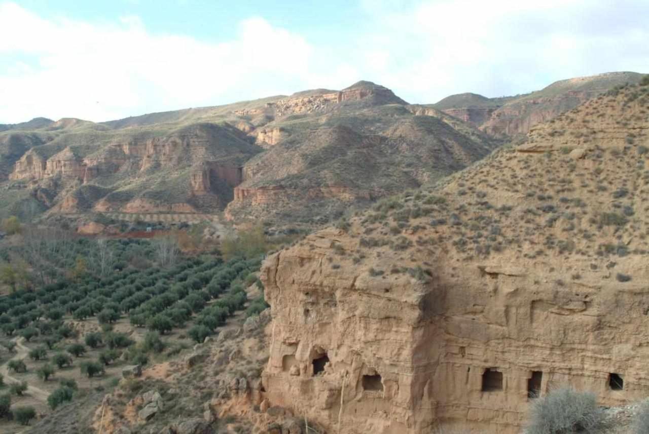 Purullena Habitat Troglodita Almagruz מראה חיצוני תמונה