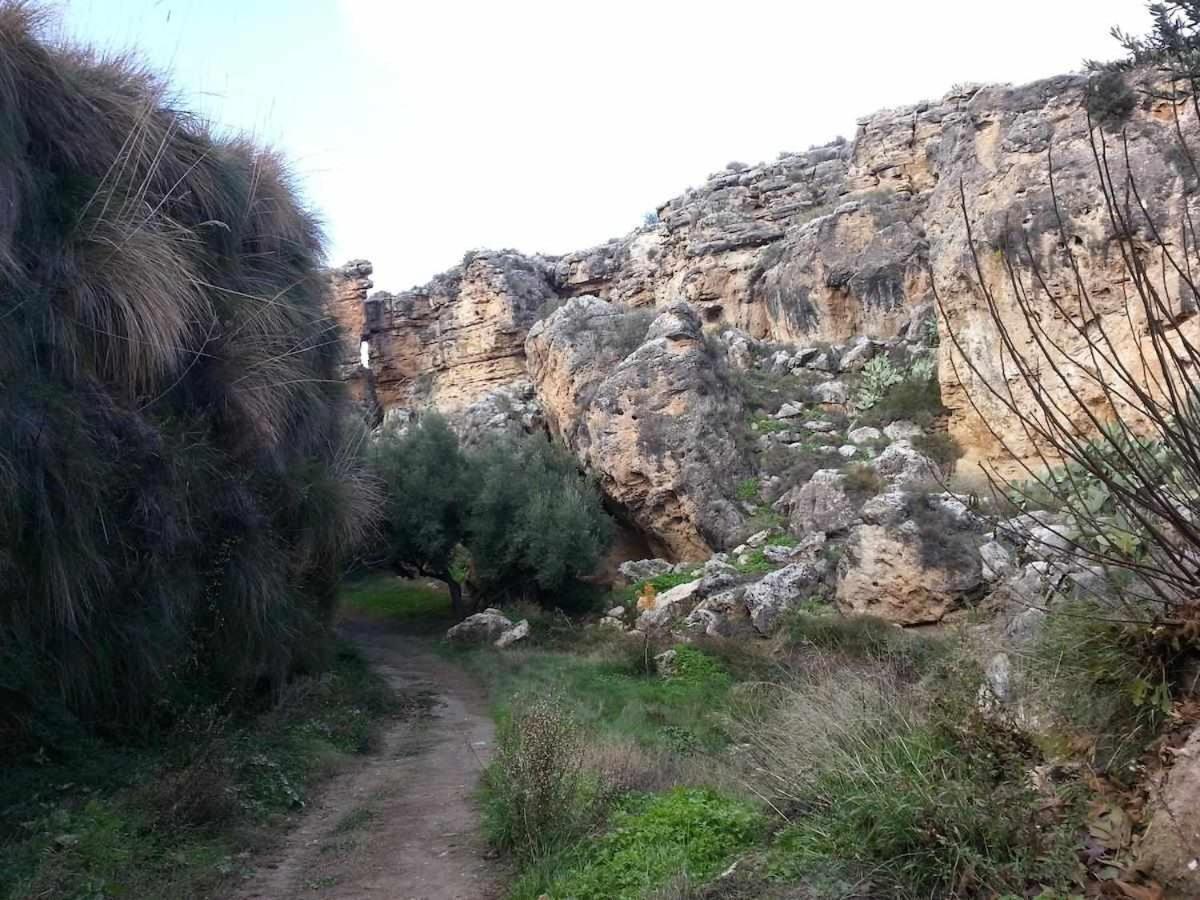 Purullena Habitat Troglodita Almagruz מראה חיצוני תמונה