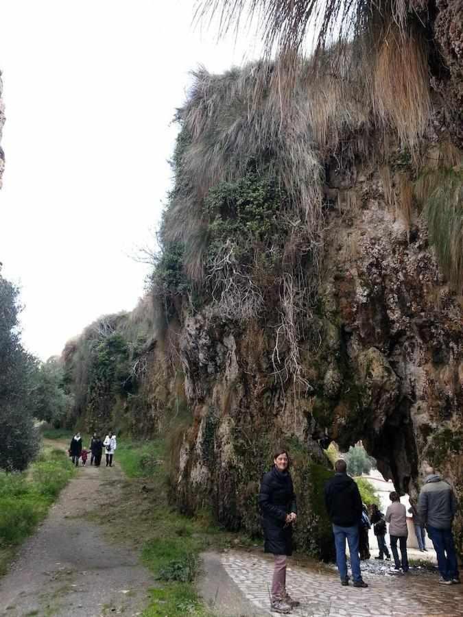 Purullena Habitat Troglodita Almagruz מראה חיצוני תמונה